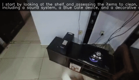 Cleaning a Shelf and Electronics preview